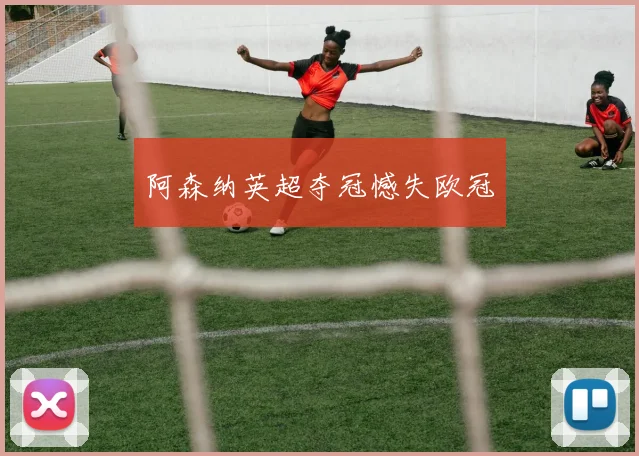阿森纳英超夺冠憾失欧冠